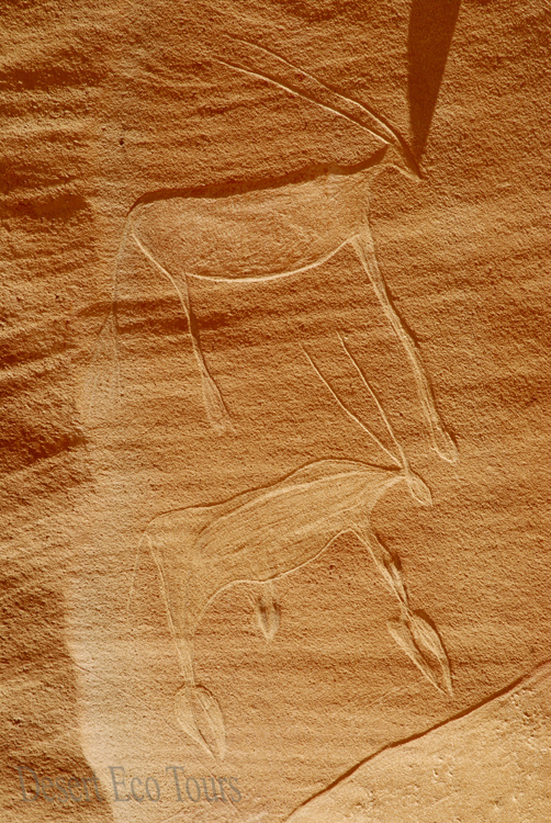 Gilf el Kebir: Western Desert